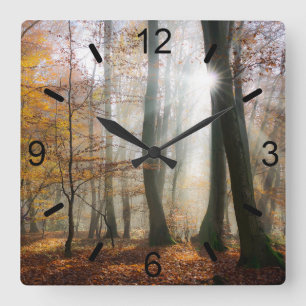 Sun Rays Mystic Misty Scenic Forest - dial-plate Square Wall Clock