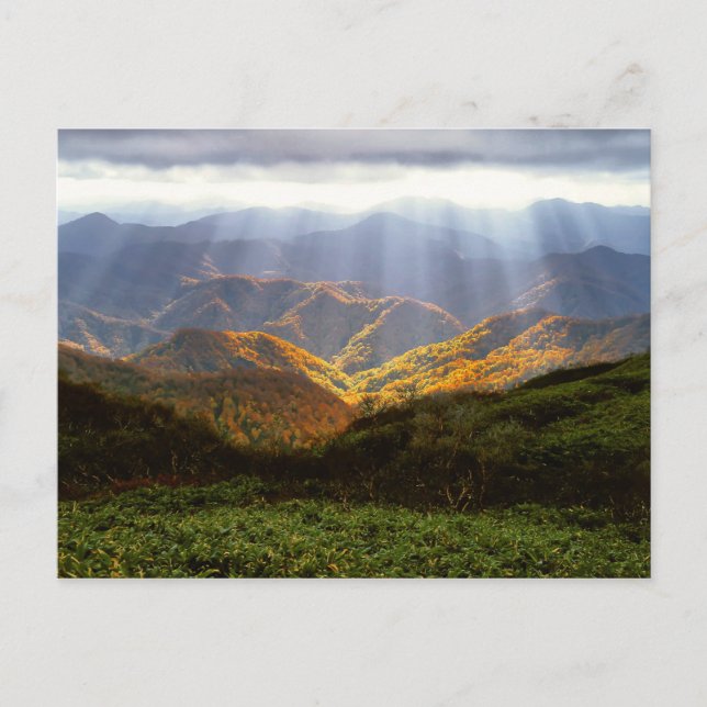 Sun Rays Over Shirakami-Sanchi Mountains Postcard (Front)