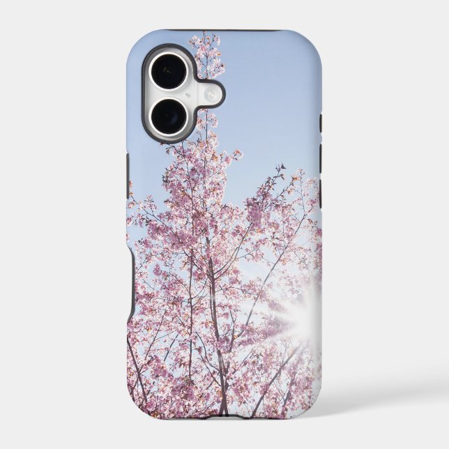 sun rays pass through pink flowers of a wow tree (Back)