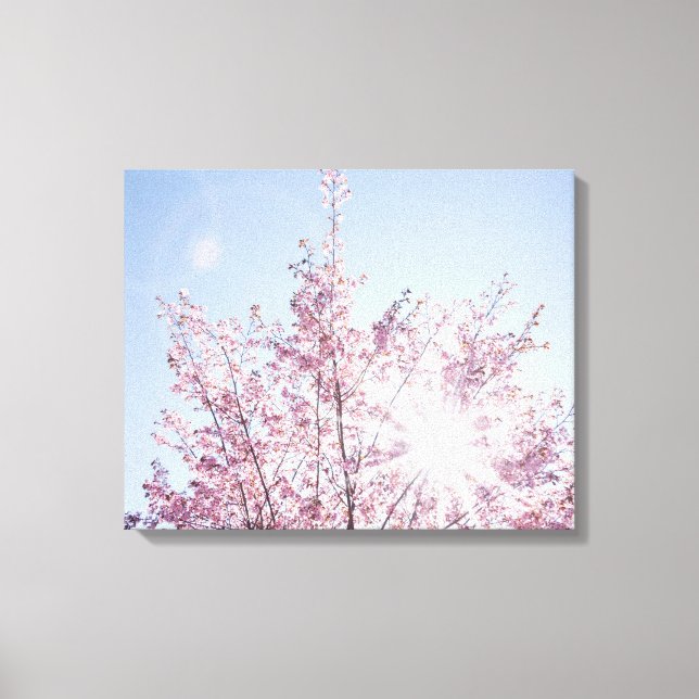 sun rays pass through pink flowers of a wow tree canvas print (Front)