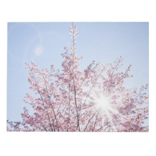 sun rays pass through pink flowers of a wow tree notepad