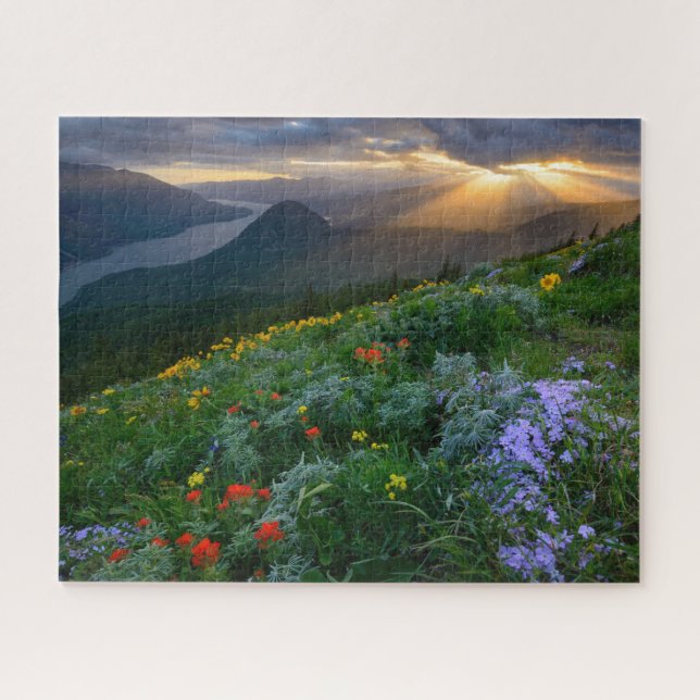 Sun Rays Shine on Wildflowers on Dog Mountain Jigsaw Puzzle (Horizontal)