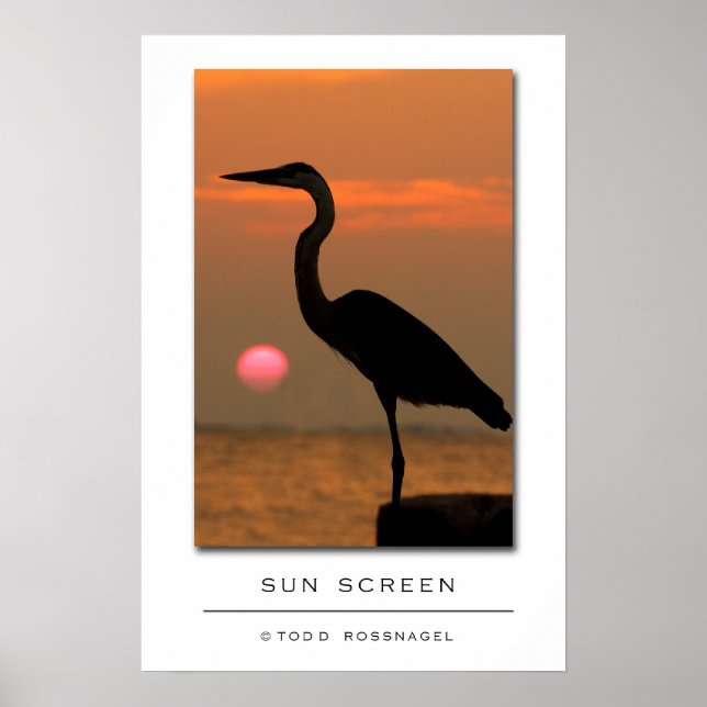 Sun Screen Poster (Front)
