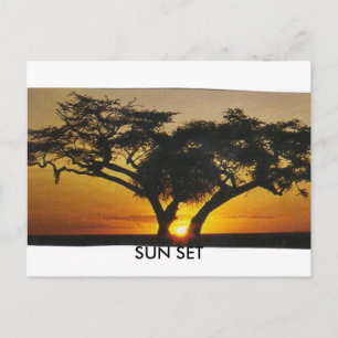 SUN SET POSTCARD