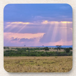 Sun setting on the Masai Mara. Coaster