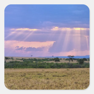 Sun setting on the Masai Mara. Square Sticker