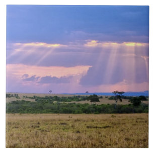 Sun setting on the Masai Mara. Tile