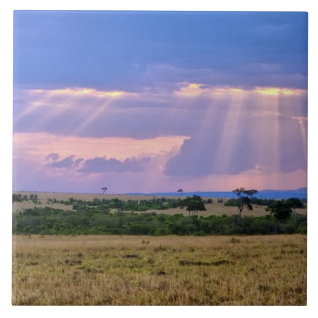 Sun setting on the Masai Mara. Tile (Front)