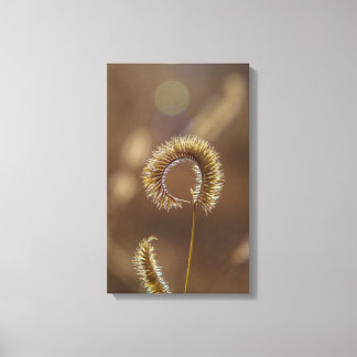 Sun Shine on Me! Canvas Print