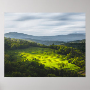 Sun shining on field of terraces poster
