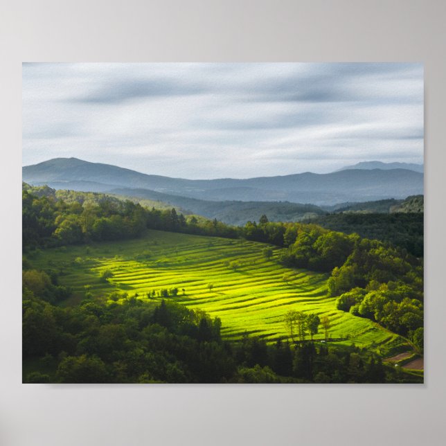 Sun shining on field of terraces poster (Front)