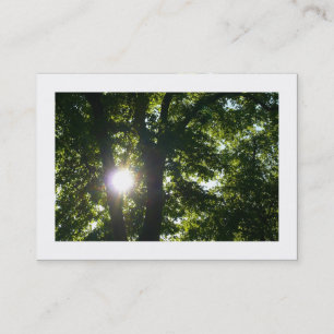 Sun Shining Through Trees Business Card