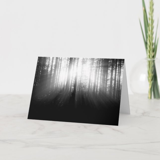 Sun Shining Through Trees in the Forest Card (Front)