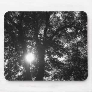 Sun Shining Through Trees Mouse Pad