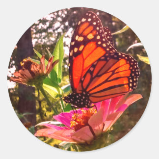 Sun Shining Thru Wings of Monarch Classic Round Sticker
