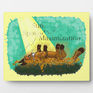 Sun Spot Maximisation Plaque