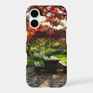 Sun through autumn leaves, Croatia