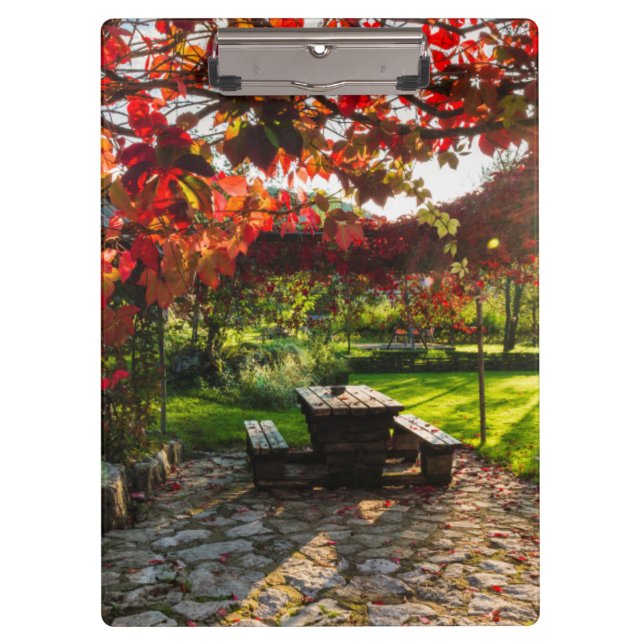 Sun through autumn leaves, Croatia Clipboard (Front)