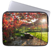 Sun through autumn leaves, Croatia