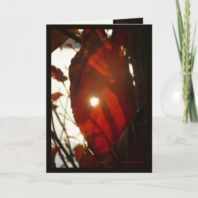 Sun Through Red Leaf Card (Front)