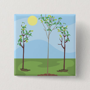 Sun & Trees - 15 Cm Square Badge