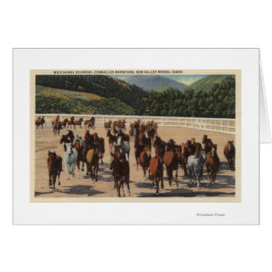 Sun Valley, ID - Wild Horse Roundup