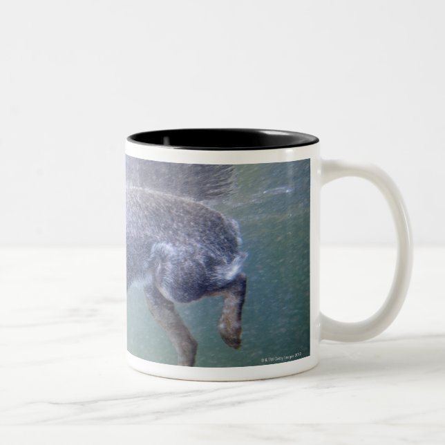 Sun Valley, Idaho, USA. Two-Tone Coffee Mug (Right)