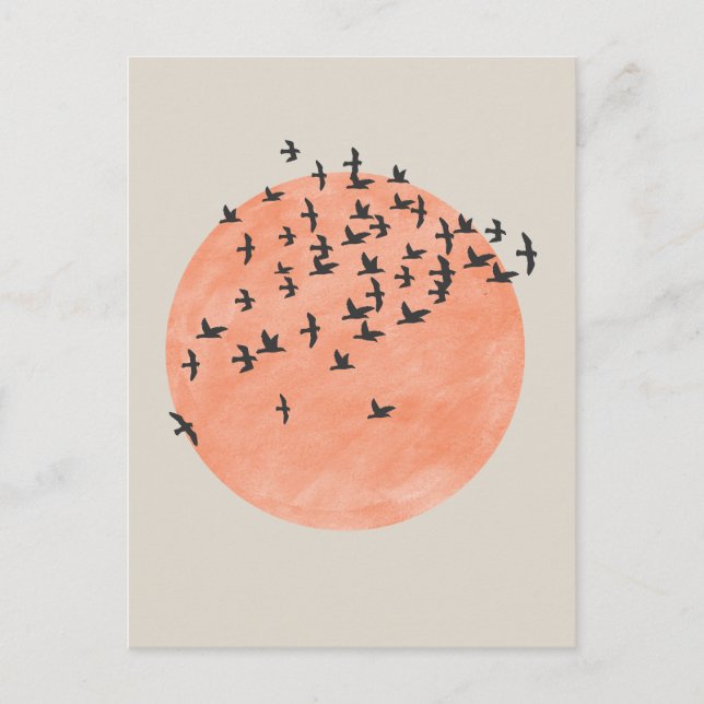 Sun with Flock of Birds Postcard (Front)