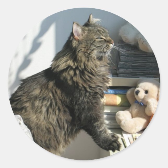 Sun Worshipping Cat Sticker (Front)