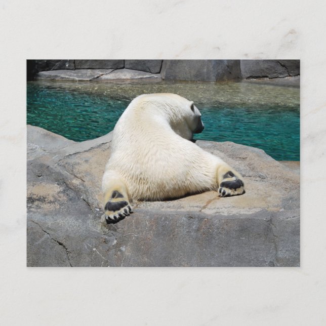 Sunbather Postcard (Front)