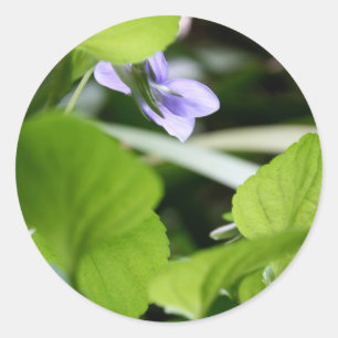 Sunbathing ? classic round sticker