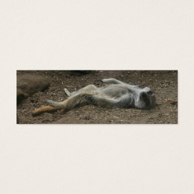 Sunbathing Meerkat Bookmark (Front)