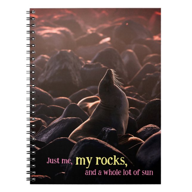Sunbathing sea lion notebook (Front)