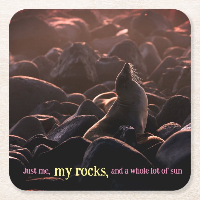 Sunbathing sea lion square paper coaster (Front)