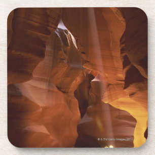 Sunbeam hitting tumbleweed on canyon floor coaster