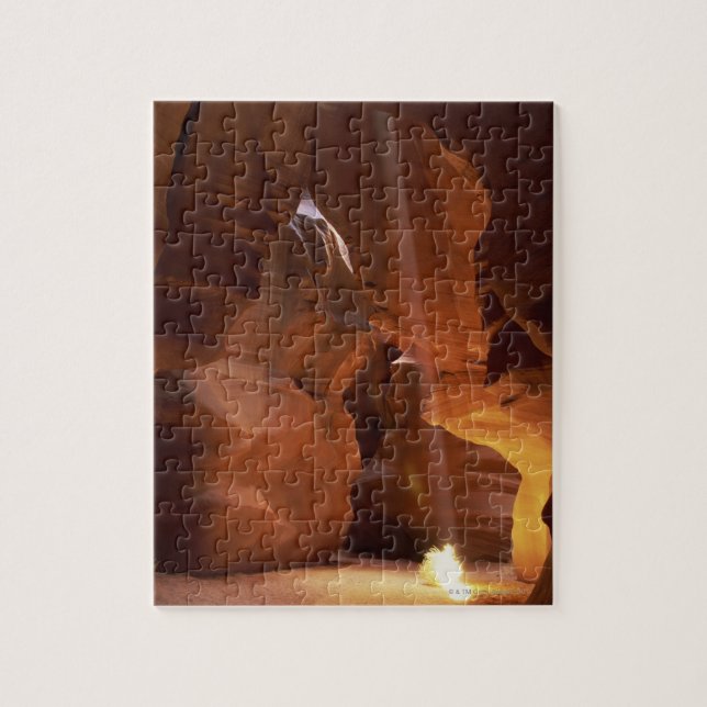 Sunbeam hitting tumbleweed on canyon floor jigsaw puzzle (Vertical)