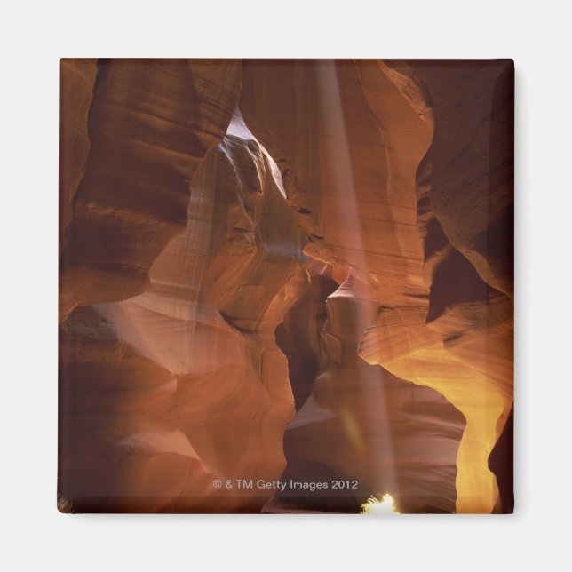 Sunbeam hitting tumbleweed on canyon floor magnet (Front)