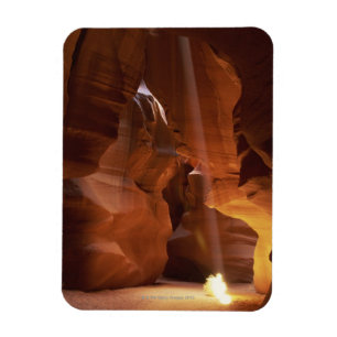 Sunbeam hitting tumbleweed on canyon floor magnet