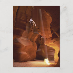 Sunbeam hitting tumbleweed on canyon floor postcard