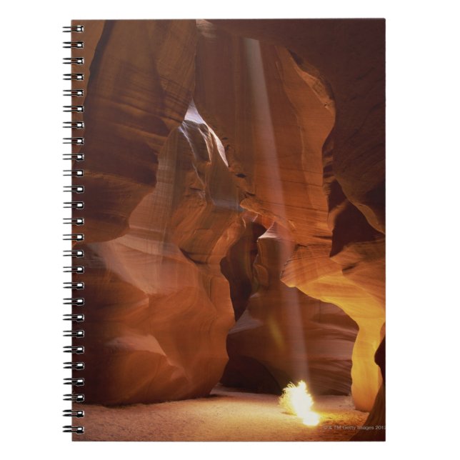 Sunbeam hitting tumbleweed on canyon floor spiral notebook (Front)