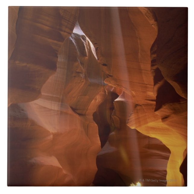 Sunbeam hitting tumbleweed on canyon floor tile (Front)