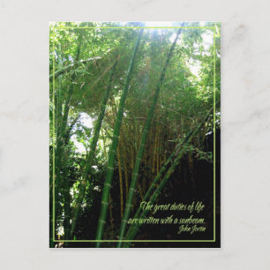 Sunbeam Postcard