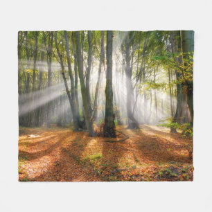 Sunbeams in a misty beech tree forest in autumn - fleece blanket
