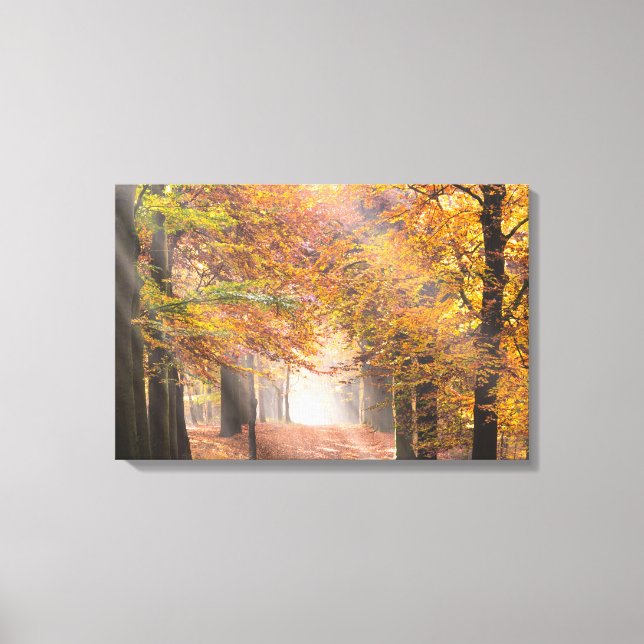 Sunbeams in an autumn forest canvas (Front)