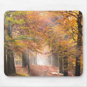 Sunbeams in an autumn forest mousepad
