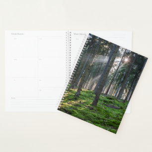 Sunbeams in the Black Forest Planner