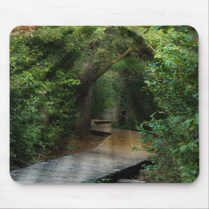 Sunbeams in Woods Mouse Pad