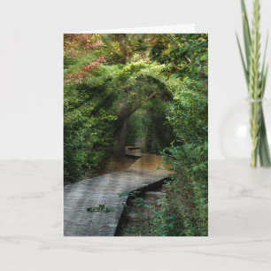 Sunbeams in Woods Sympathy Card