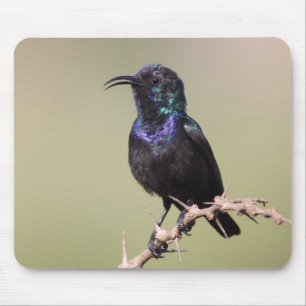 Sunbird Mouse Pad