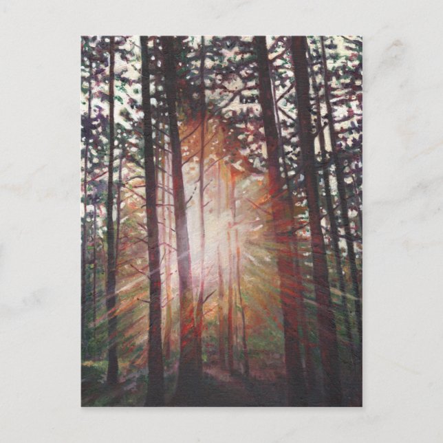 Sunburst 2010 postcard (Front)